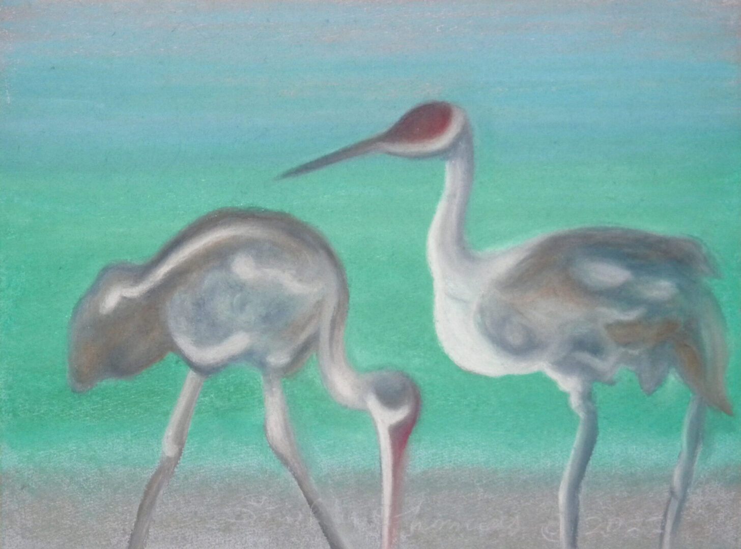 Drawing of two storks
